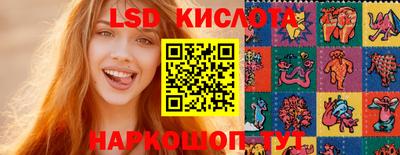 МДПВ Новозыбков