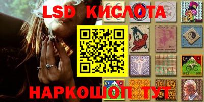 ешки Новодвинск