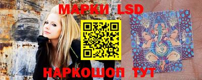 ешки Новодвинск