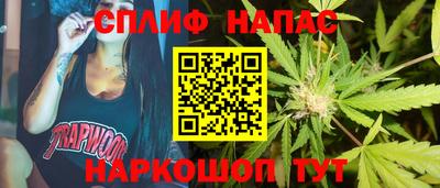 ешки Новодвинск